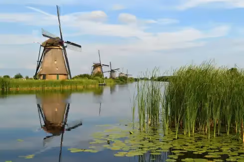 Rooftop Netherlands