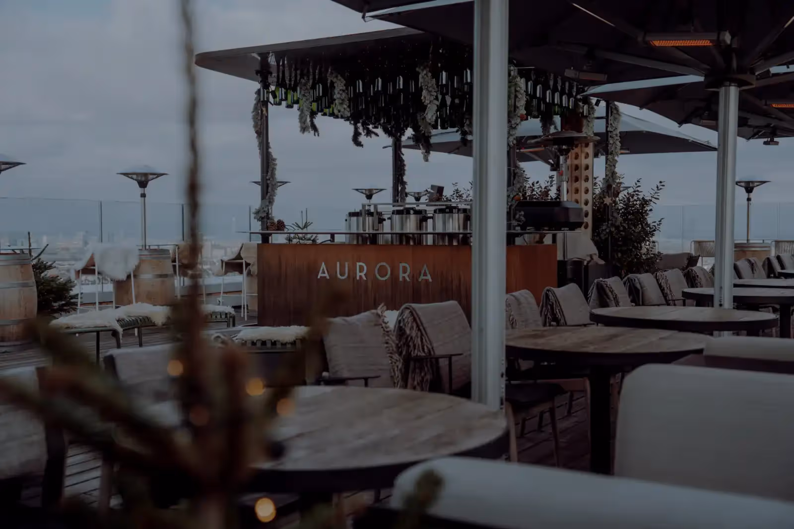Aurora Rooftop Bar in Vienna - 2