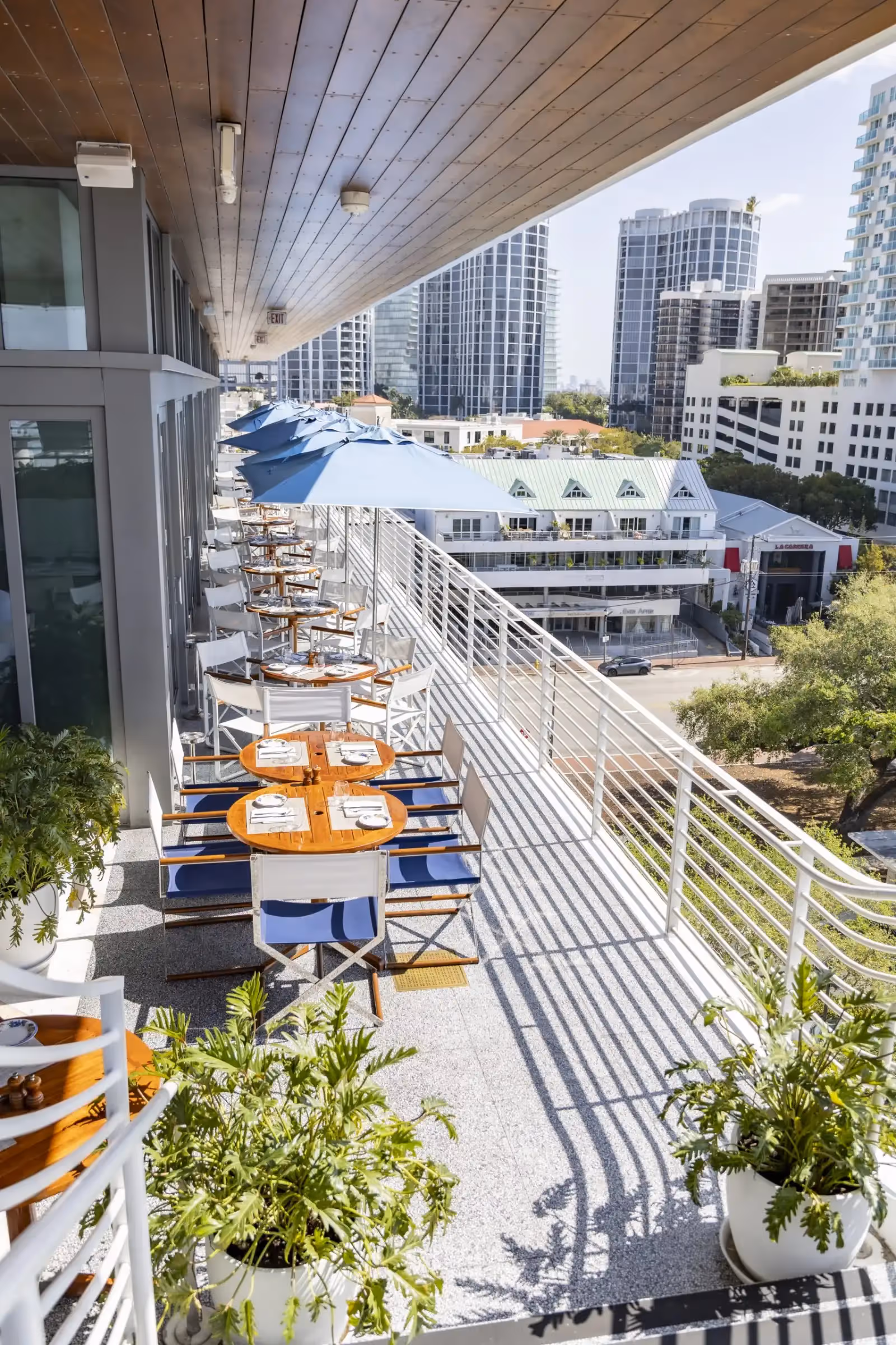 Rooftop Bellini in Miami - 1