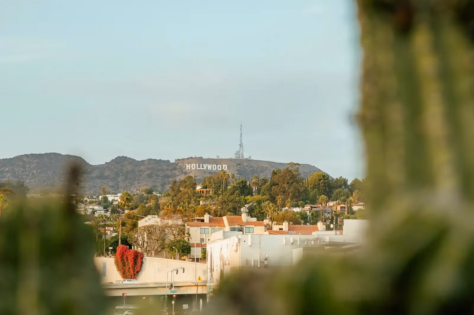 Rooftop Lemon Grove in Los Angeles - 2