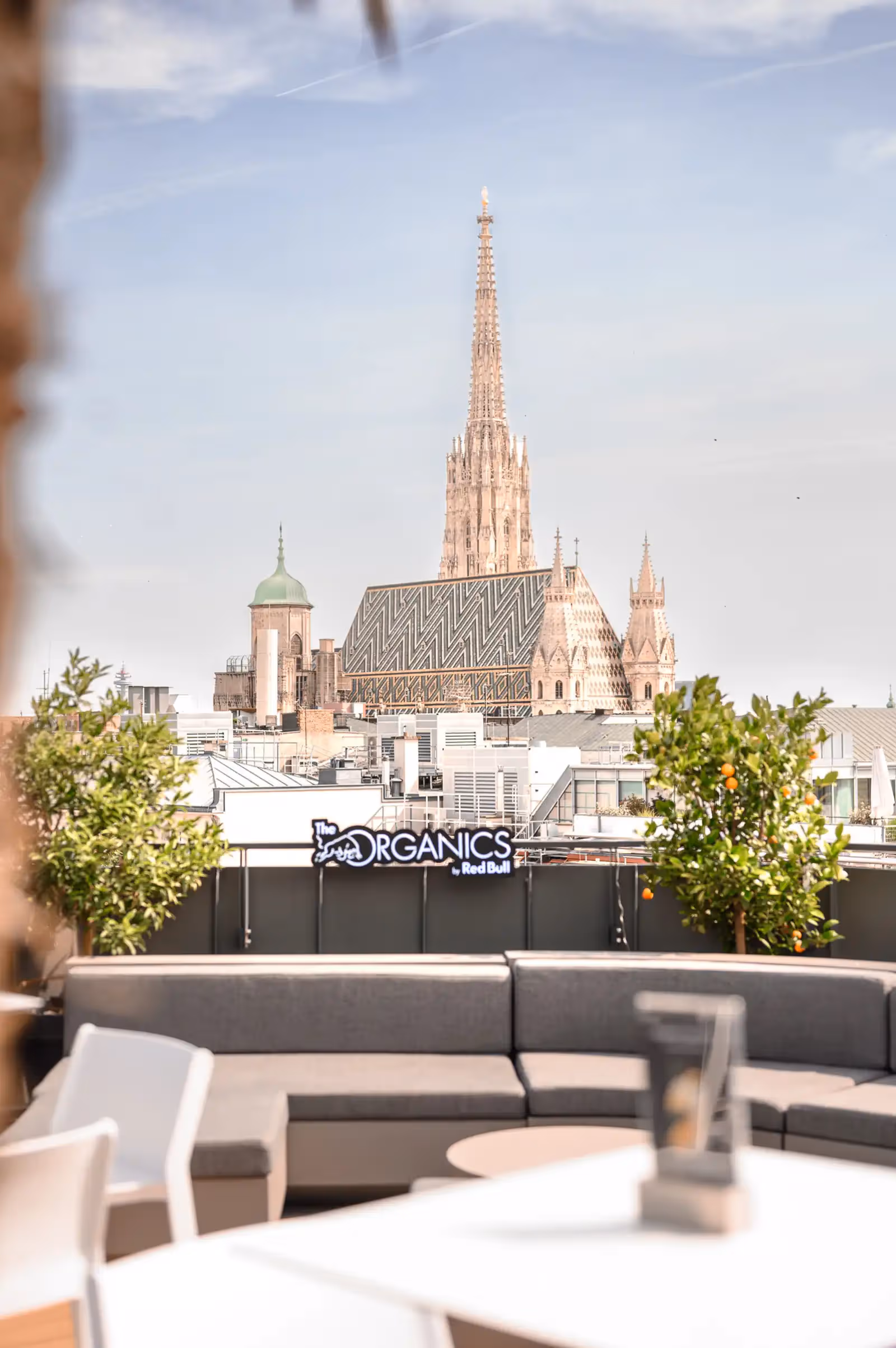 Rooftop ORGANICS Sky Garden in Vienna - 4
