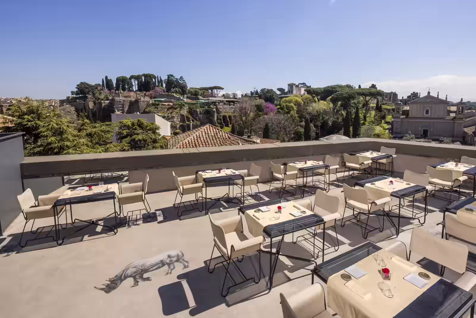 Rooftop Rhinoceros in Rome - 9