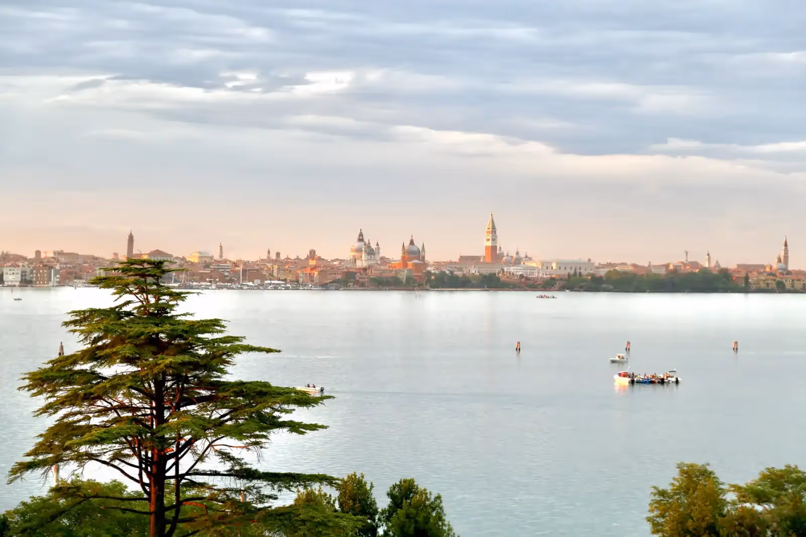 Sagra Rooftop Restaurant in Venice - 3