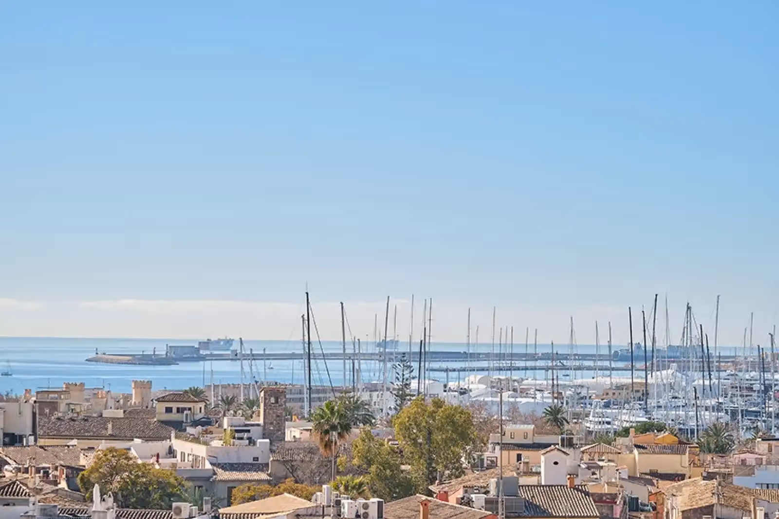 Rooftop Sky Bar Almudaina in Palma de Mallorca - 2