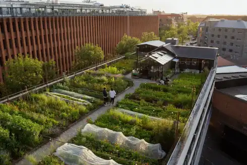 Rooftop Gro Spiseri Copenhagen